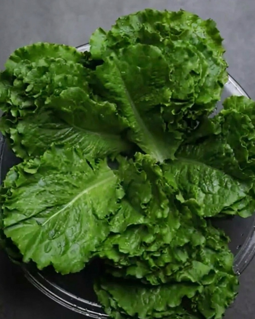 Hojas de lechuga verde fresca y vibrante apiladas en un bol de vidrio después de ser lavadas.