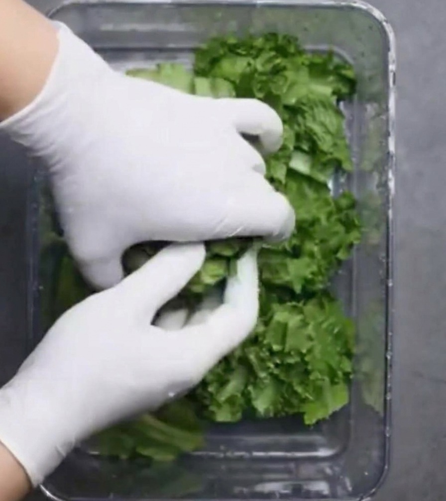 Manos con guantes acomodando hojas de lechuga cortadas dentro de un recipiente de vidrio transparente.