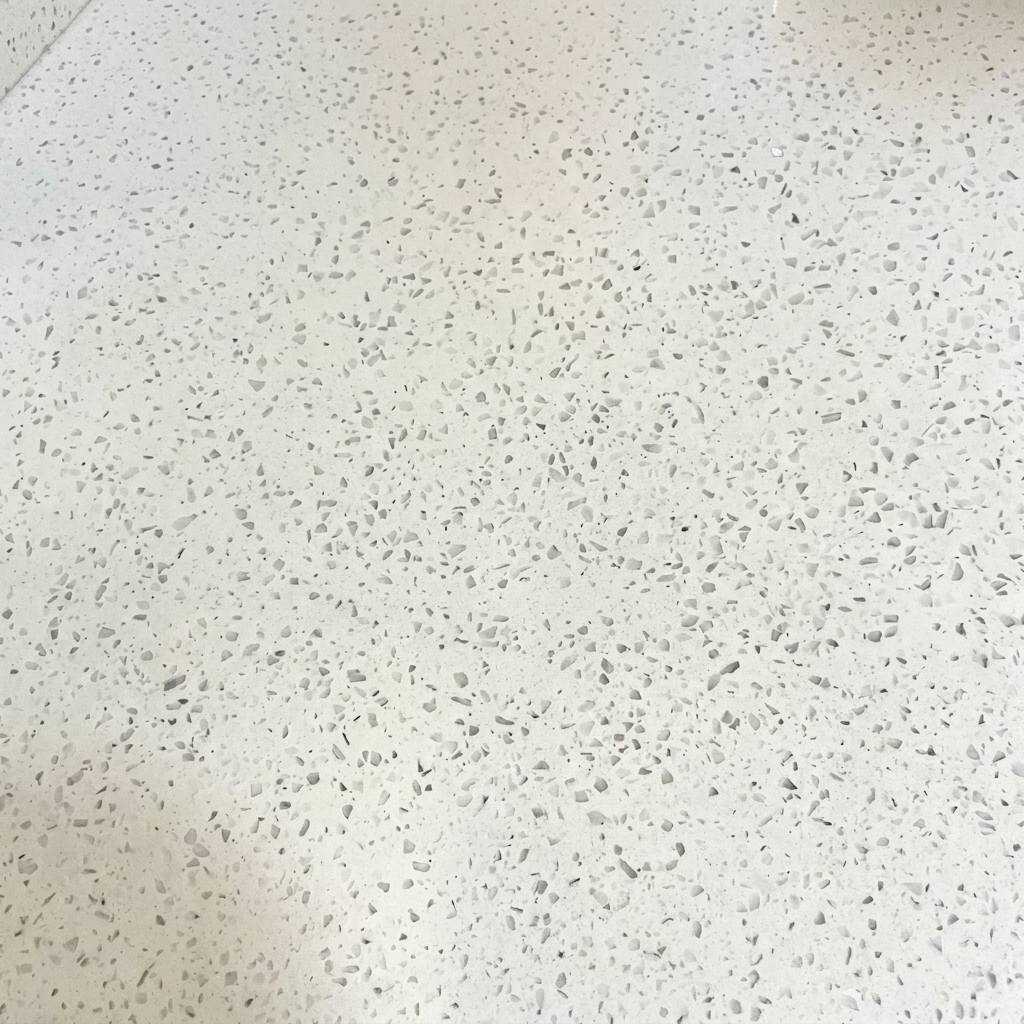 La masa de pizza colocada cuidadosamente en la sartén aceitada y presionada para cubrir el fondo.