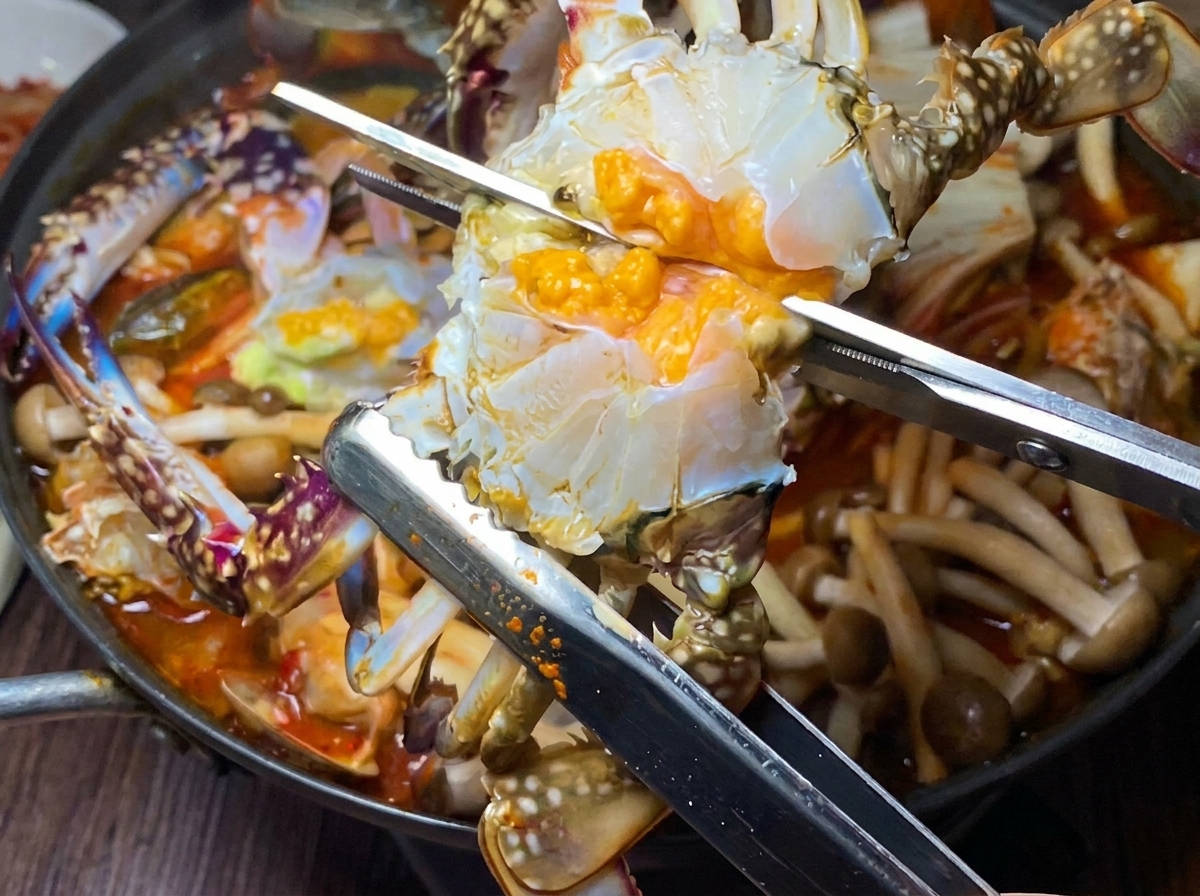 Un cangrejo crudo y limpio cortado por la mitad y añadido a la olla de estofado hirviendo a fuego lento.