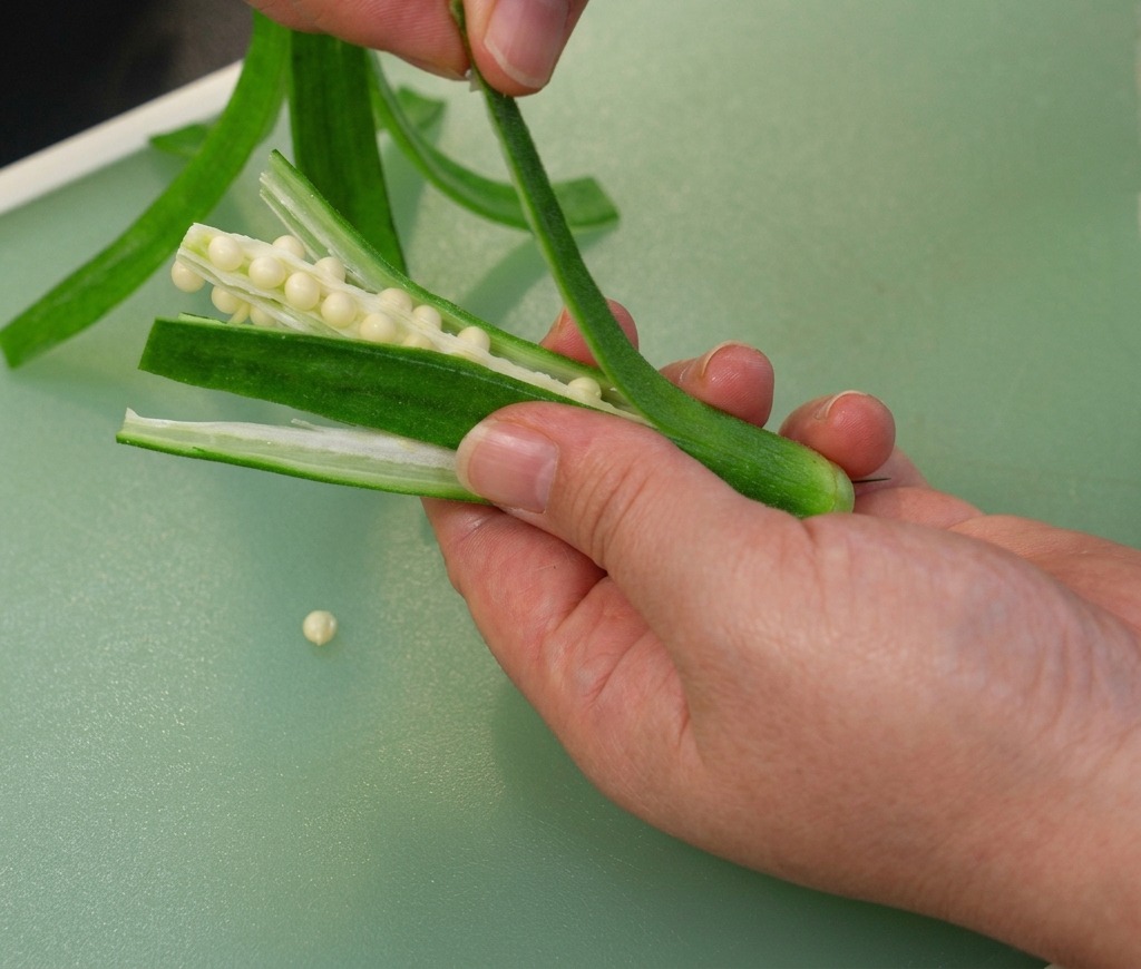 Primer plano de unas manos extrayendo el núcleo de semillas de una okra.