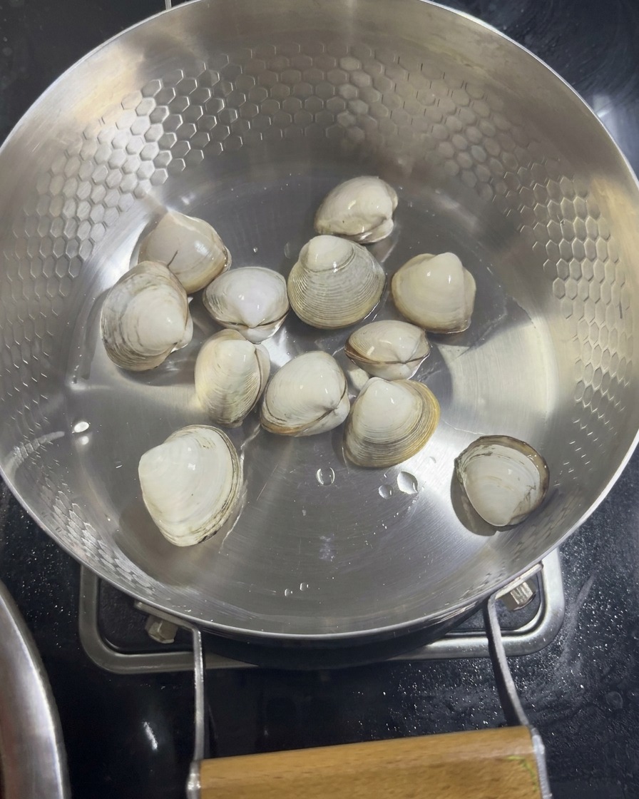 Varias almejas blancas crudas dispuestas en el fondo de una sartén de acero inoxidable con textura de panal, listas para ser cocinadas.