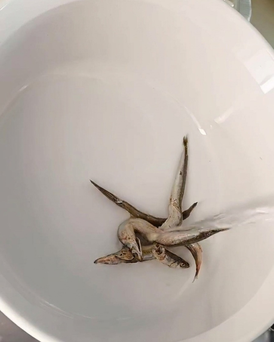 Varias anchoas secas pequeñas en el fondo de una olla cerámica mientras se vierte agua sobre ellas.