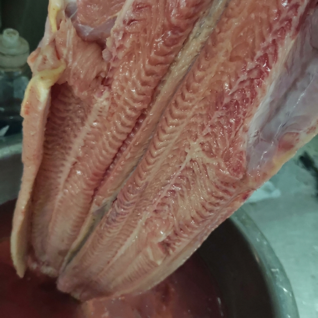 Un trozo grande de bagre crudo siendo retirado de un bol con agua rojiza.