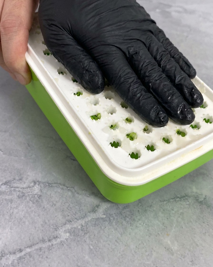 Una mano con guante negro rallando un trozo de rábano daikon blanco en un rallador manual con base verde.