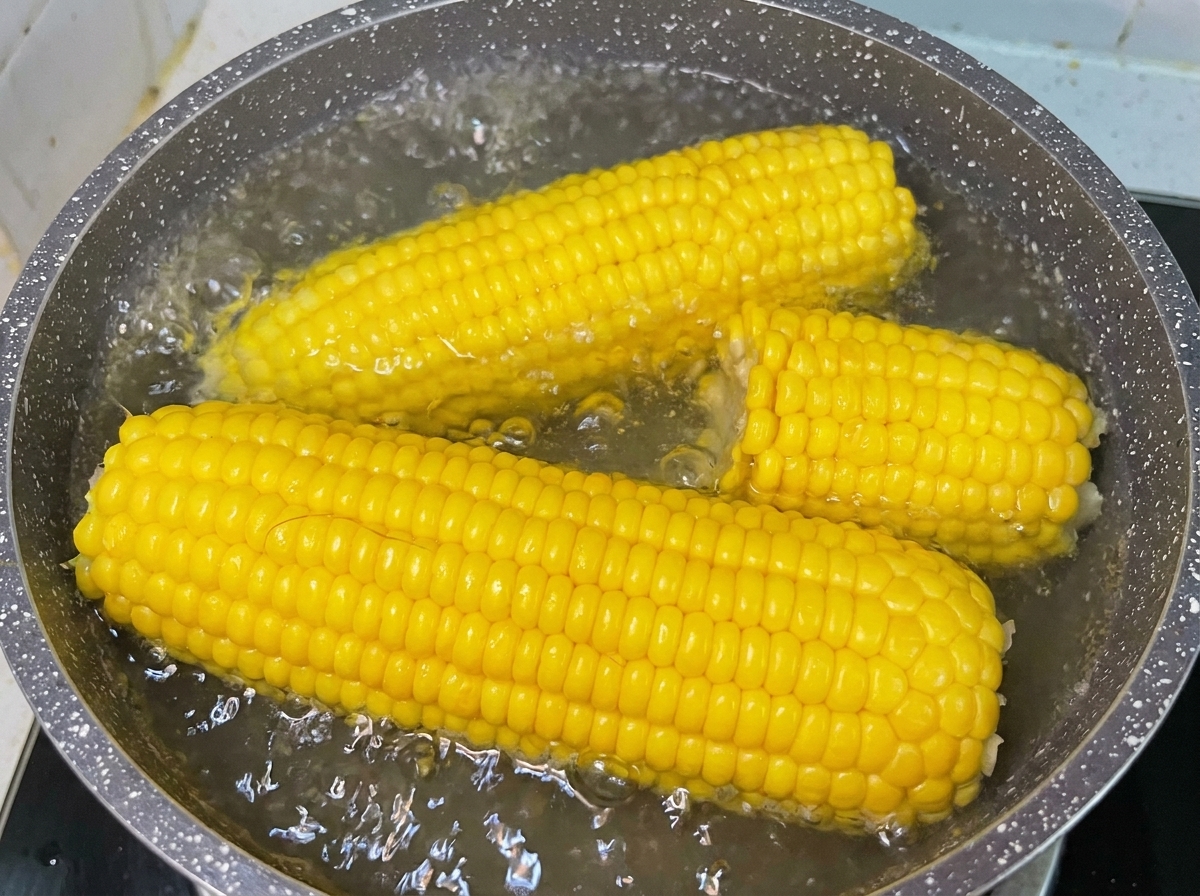 Mazorcas de maíz dulce amarillo hirviendo en una olla con agua burbujeante sobre una estufa de cocina.