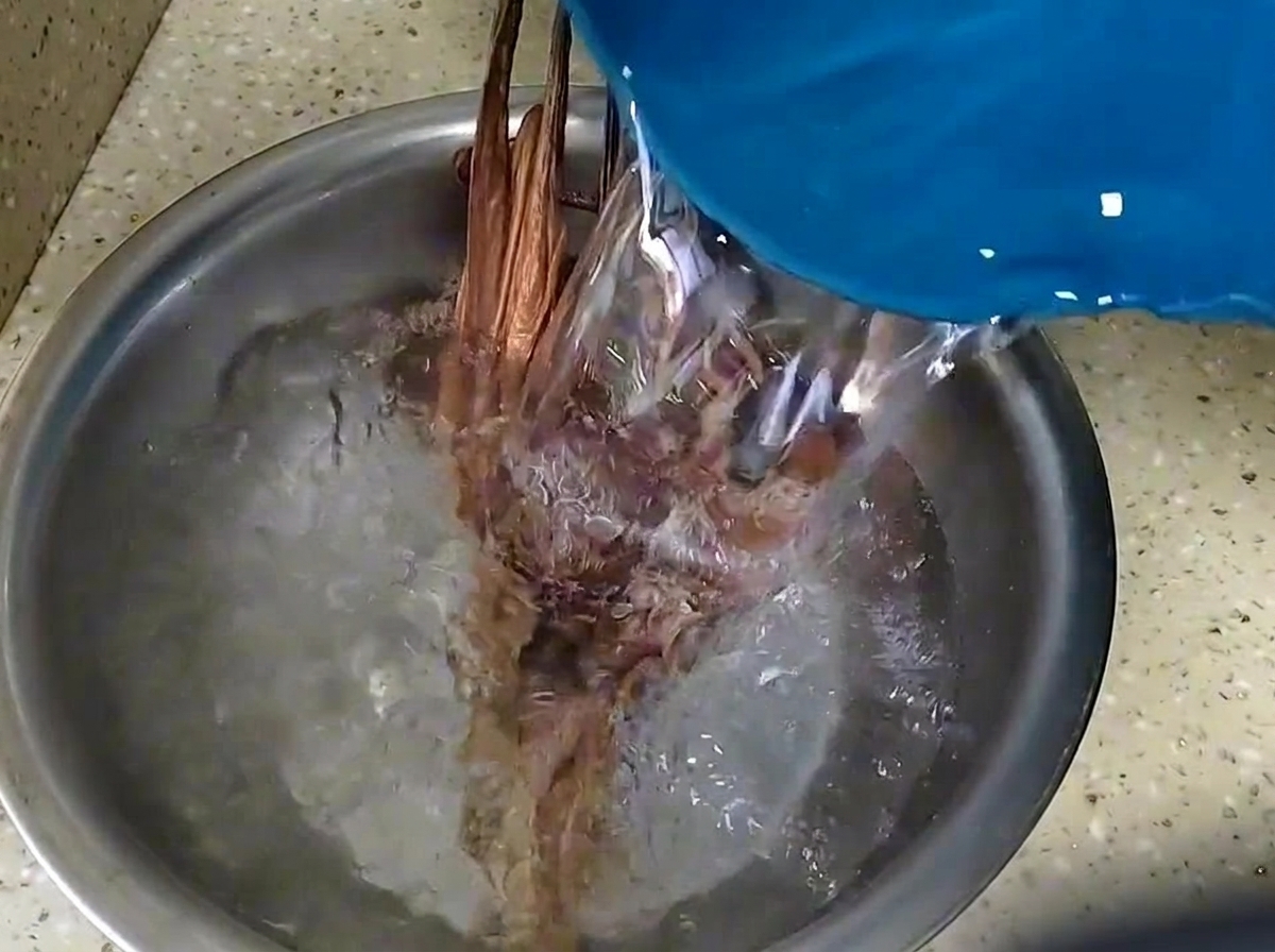 Agua vertida sobre pulpo seco y hongos shiitake en un tazón de metal.