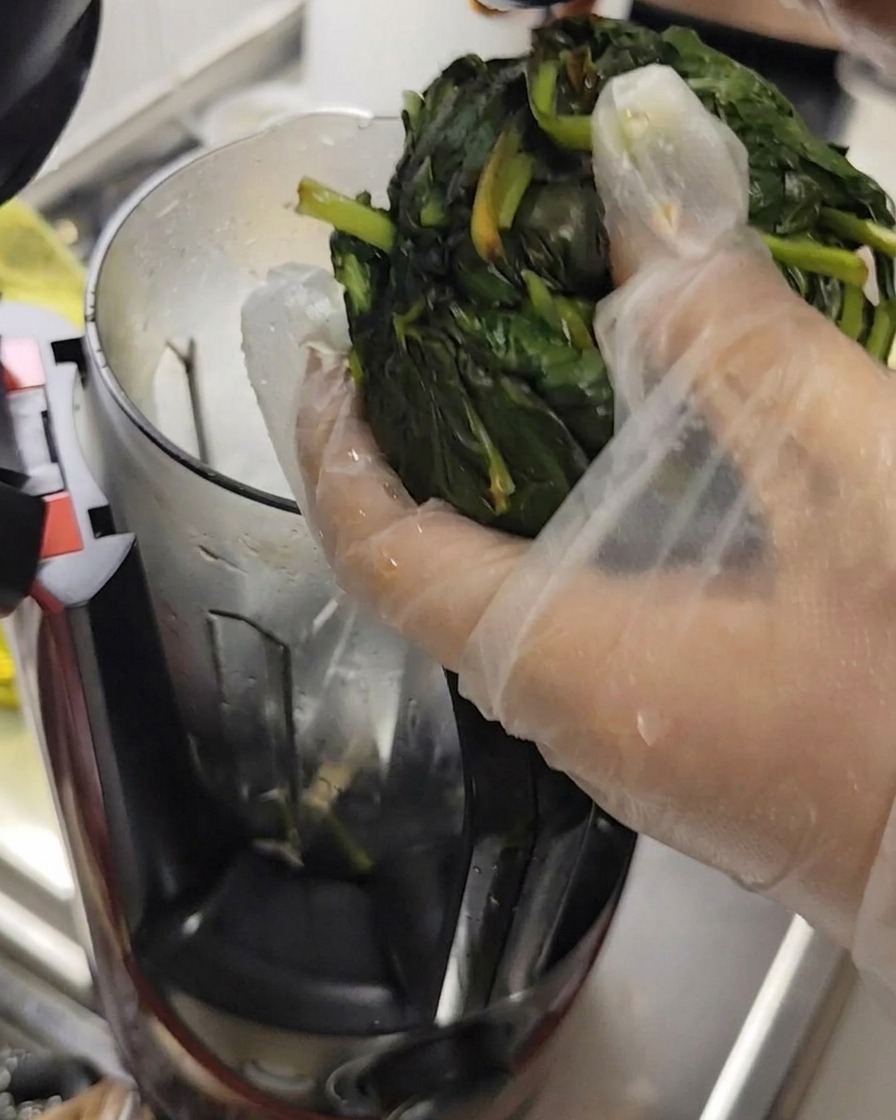 Manos con guantes escurriendo el agua de las hojas de albahaca para procesarlas.