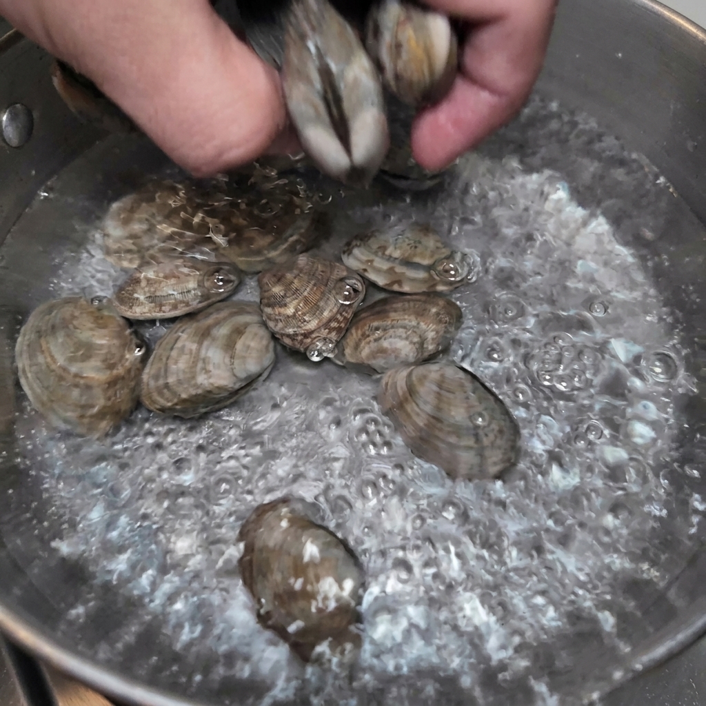 Una mano dejando caer almejas frescas en una olla con agua hirviendo rápidamente.