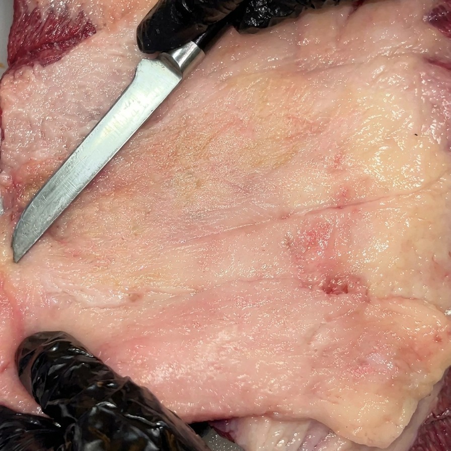 Sal marina gruesa espolvoreada uniformemente sobre la superficie cruda y recortada del brisket Wagyu.
