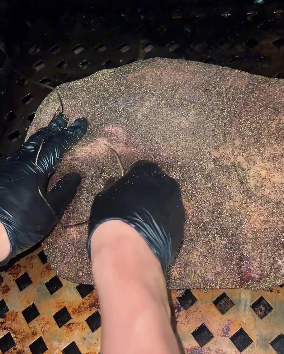 Un pulverizador rociando la superficie del brisket que se oscurece mientras se ahúma.