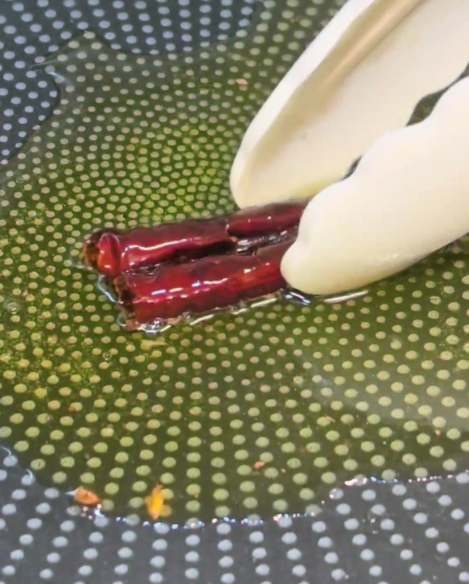 Chiles secos levantados cuidadosamente del aceite caliente en una sartén usando pinzas de cocina.