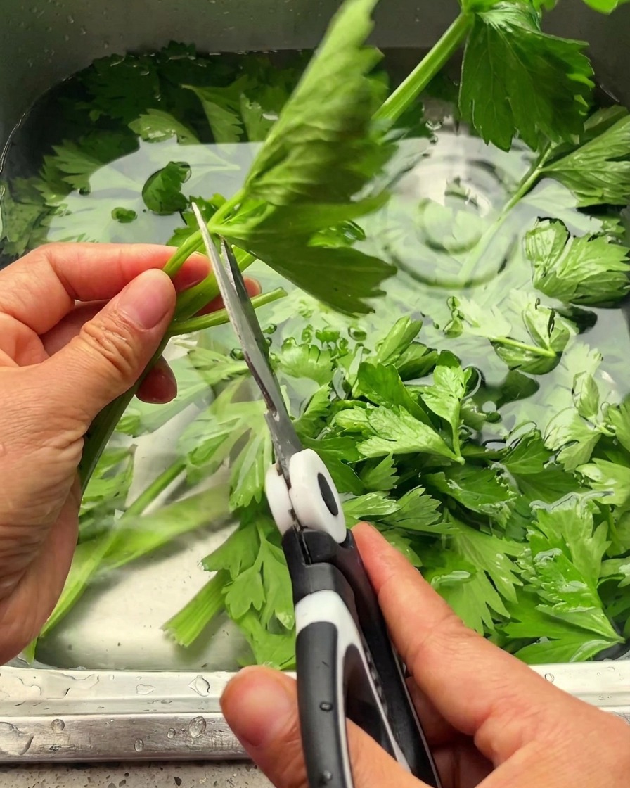 Manos usando tijeras de cocina para cortar hojas de apio brillantes de sus tallos sobre un fregadero de metal.