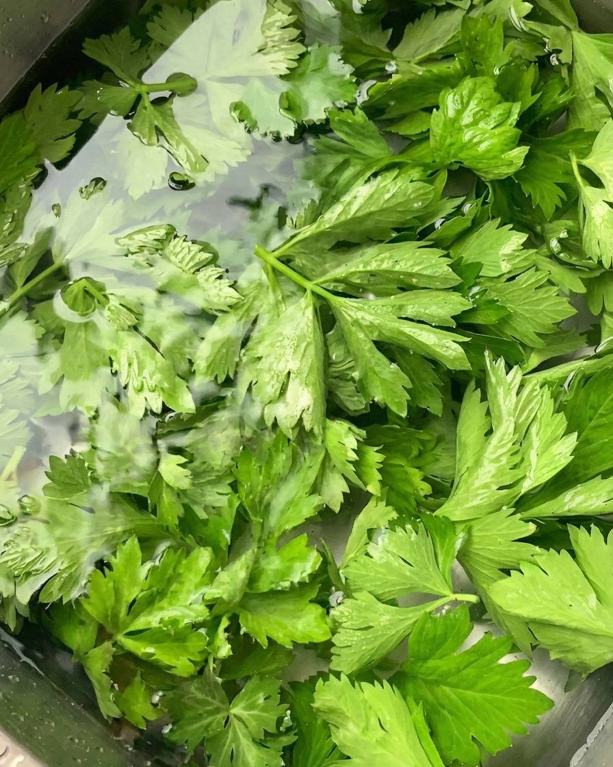 Hojas de apio frescas remojándose en un recipiente con agua limpia dentro de un fregadero de acero inoxidable.