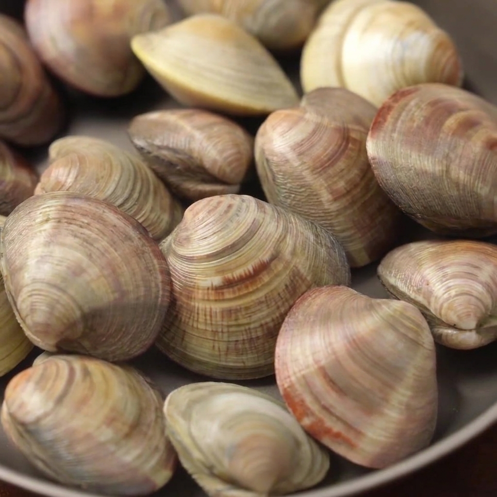 Almejas cocinándose en una olla llena de agua, rodajas de limón y vino blanco a fuego medio.