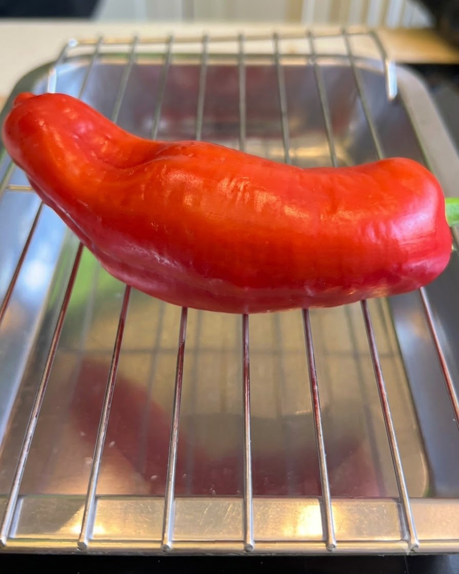 Un pimiento rojo siendo flameado uniformemente sobre una rejilla de alambre.