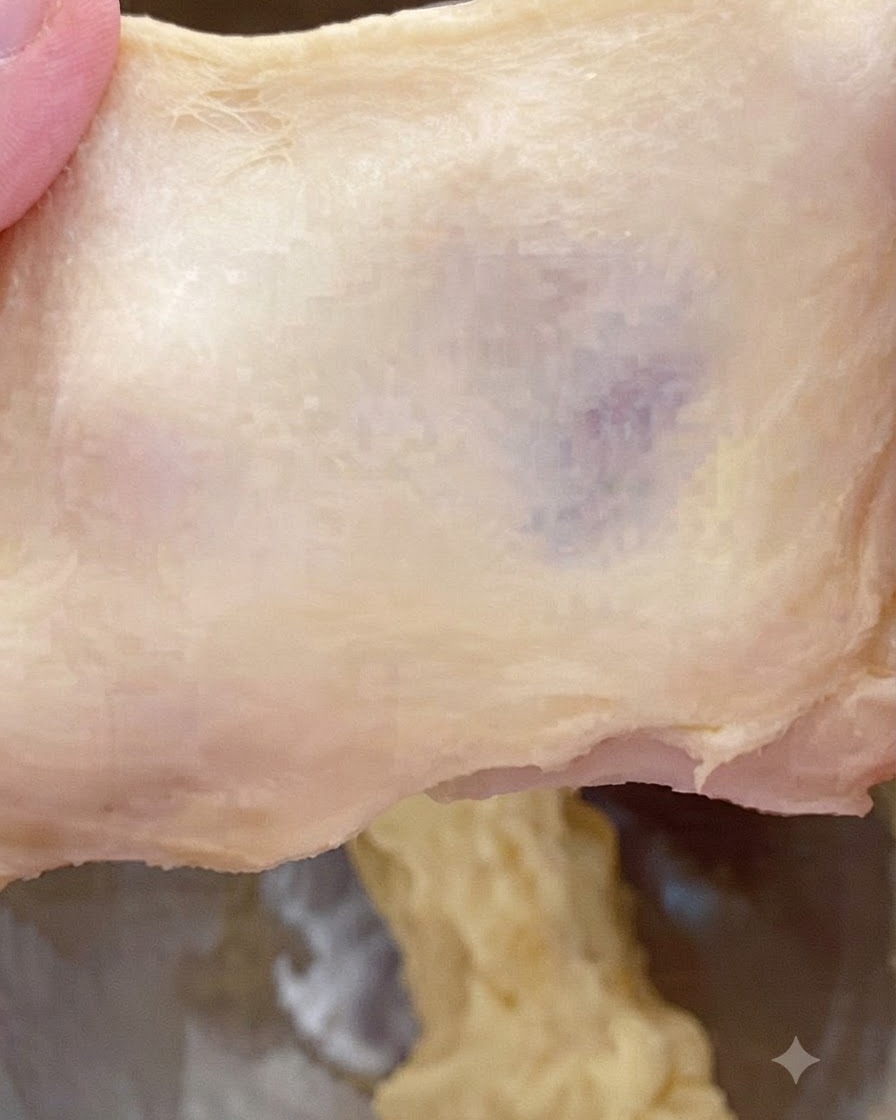 Un trozo de masa estirado para mostrar una textura gruesa y ligeramente rugosa con un patrón de desgarro.