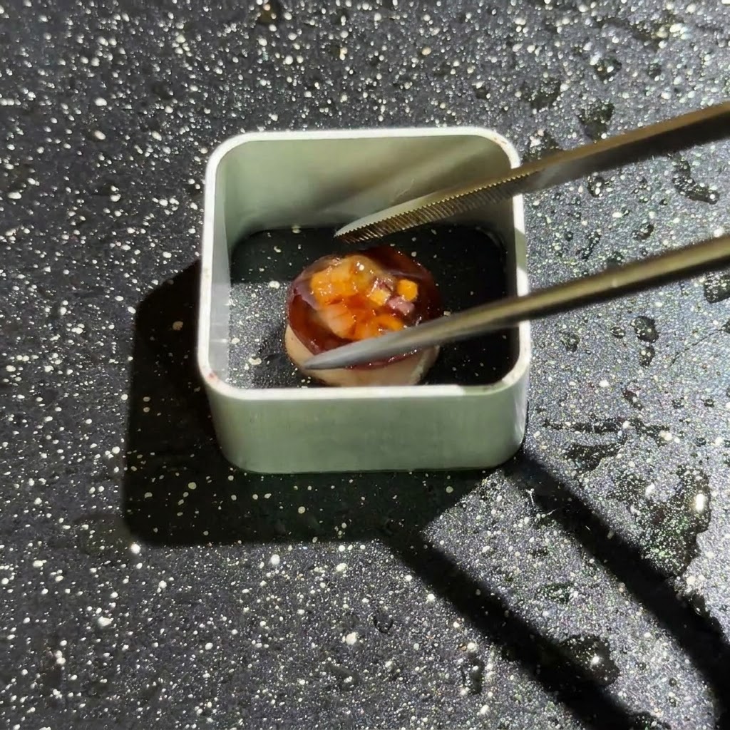 Un molde metálico cuadrado colocado en una sartén aceitada con un pequeño componente de champiñón posicionándose en su interior usando pinzas.